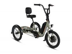 An image of an electrified tricycle.